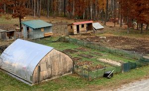 orion house farm